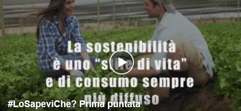 “Lo sapevi che?” La prima puntata della nostra video-rubrica