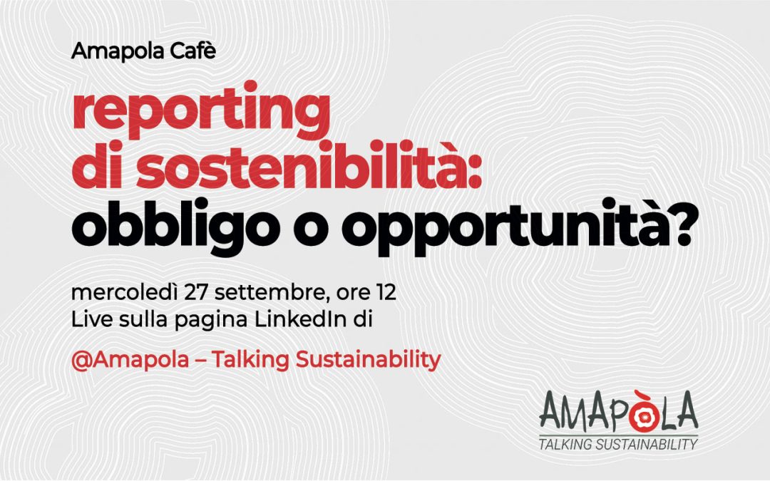 Amapola Café | sustainability reporting | online webinar