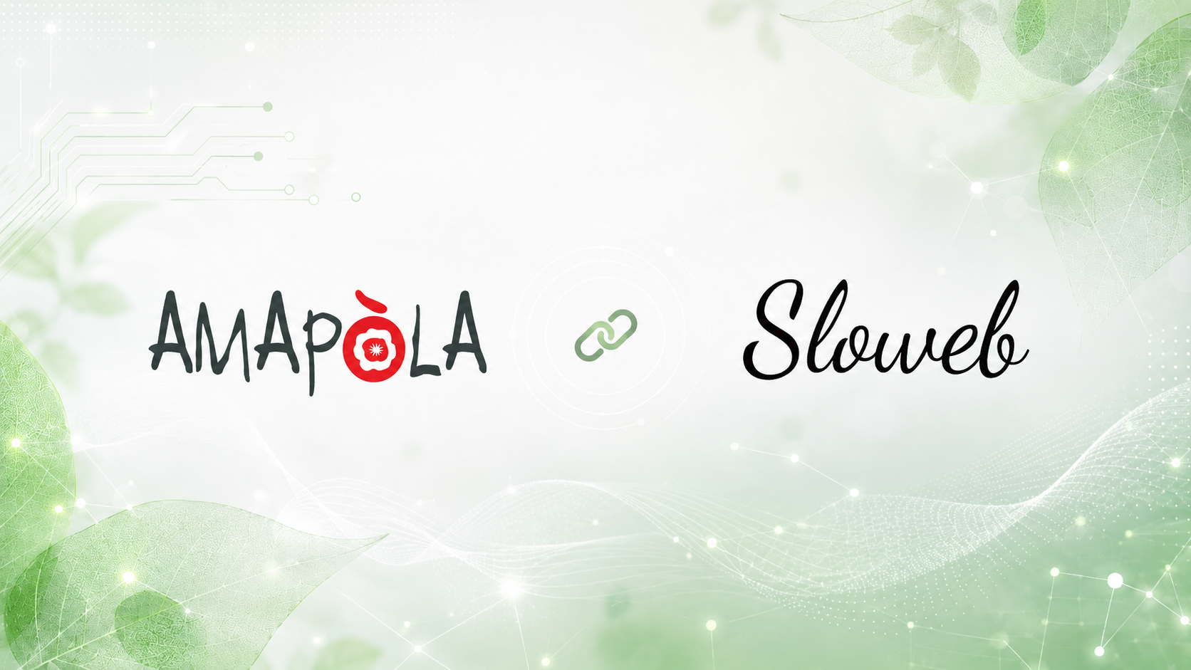Amapola con Sloweb APS