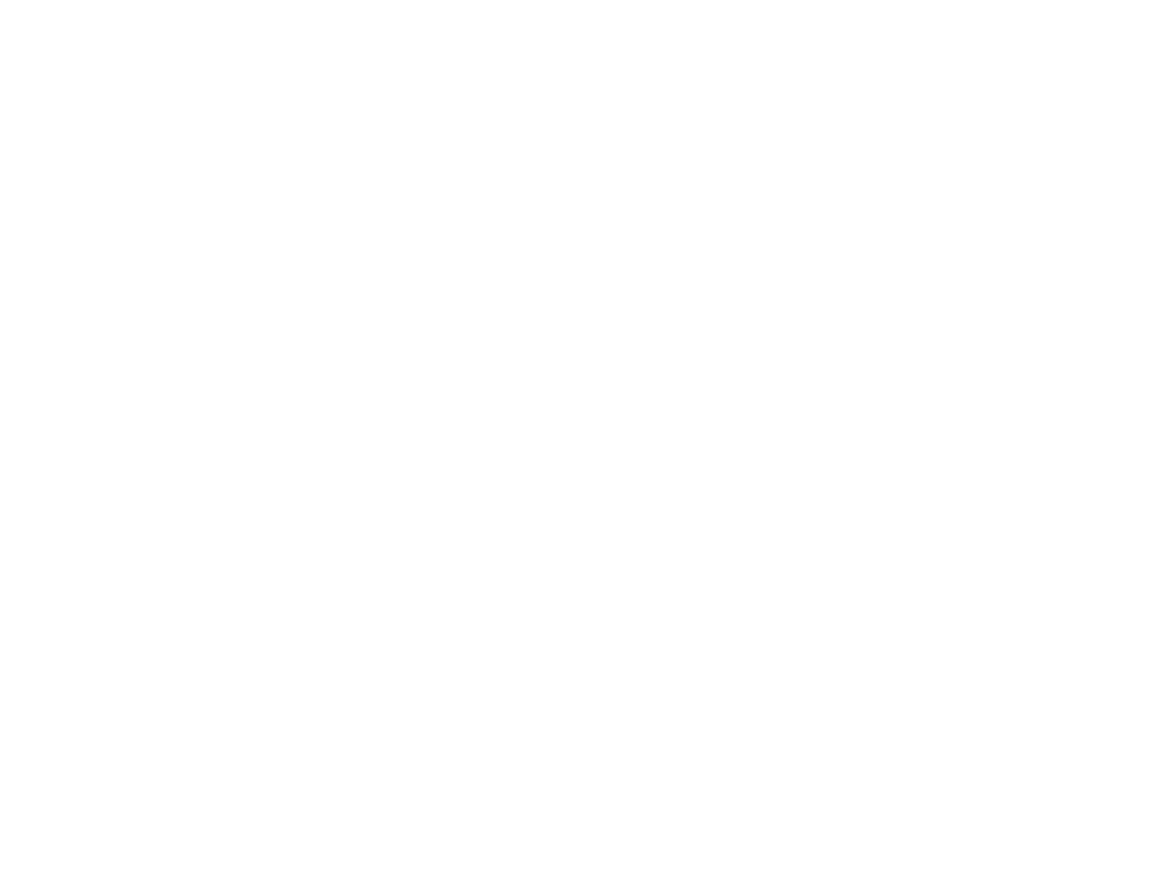 Logo Flying Angels ETS