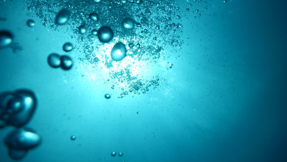 Il mondo sommerso in Flow