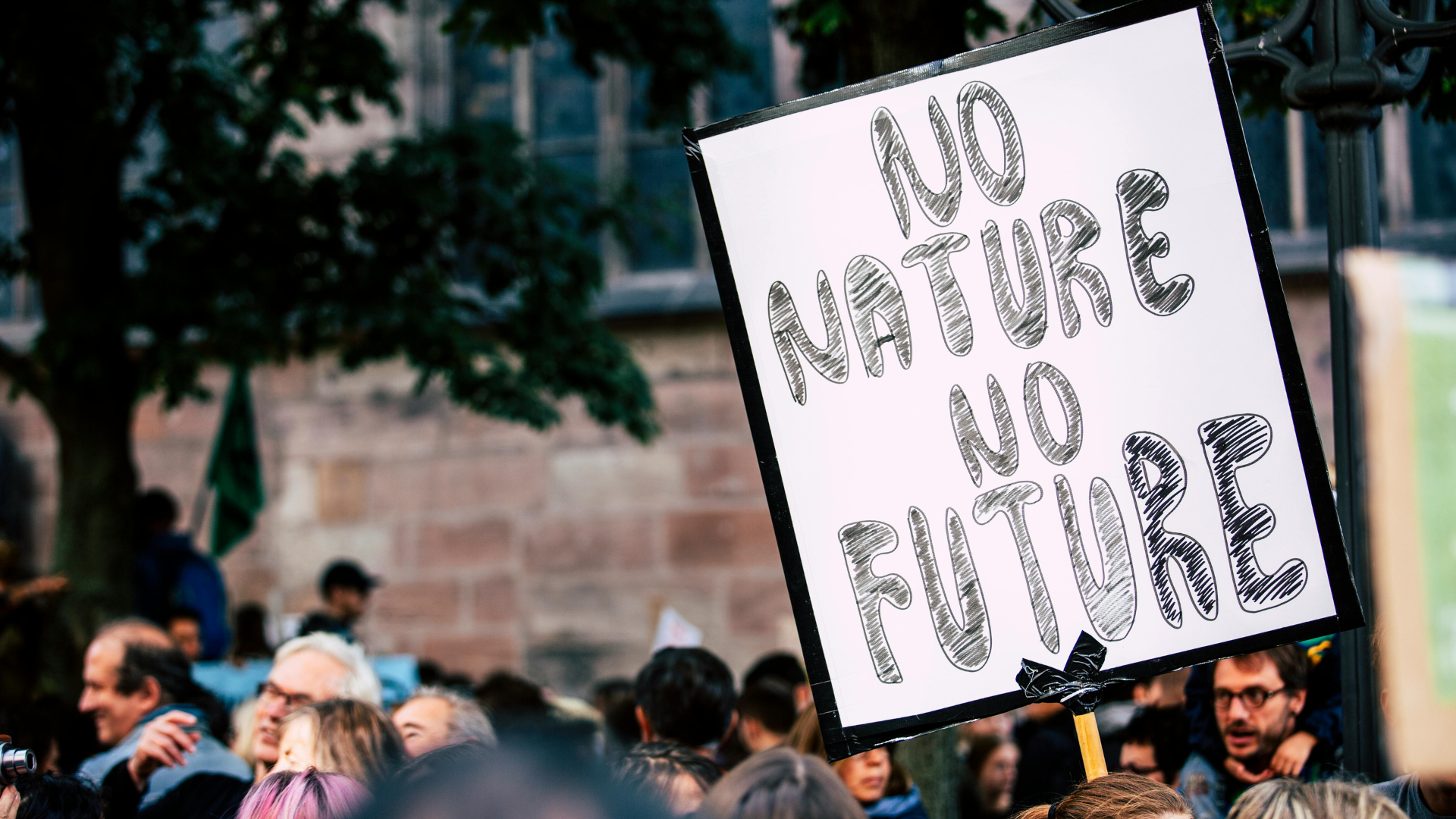 Italia - cosa pensano le persone della transizione ecologica