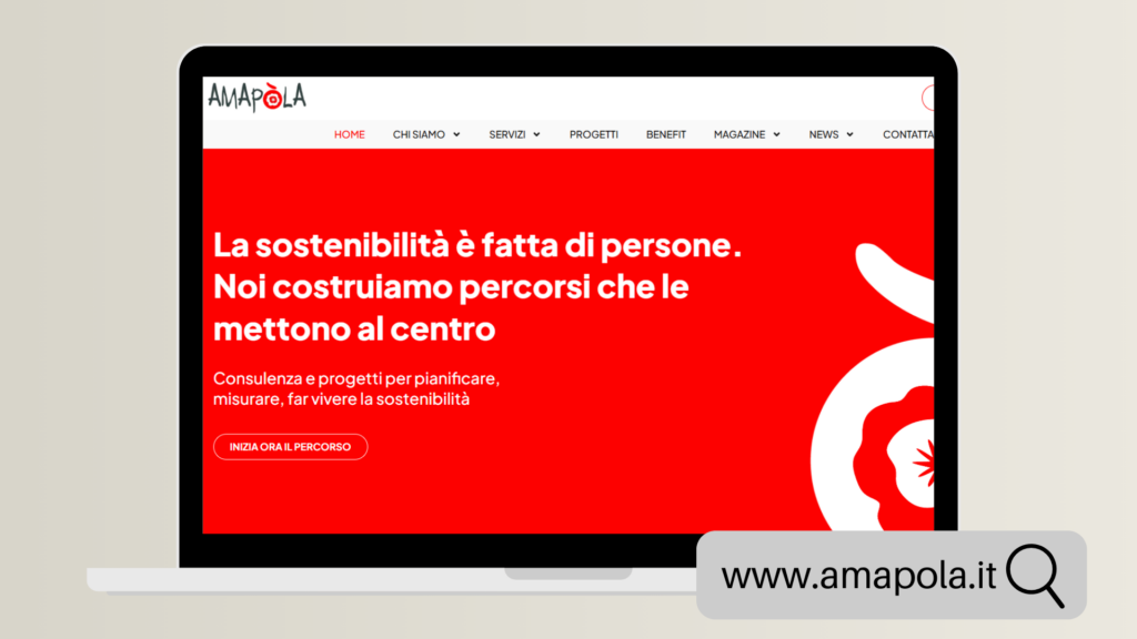 Nuovo sito di Amapola 2025