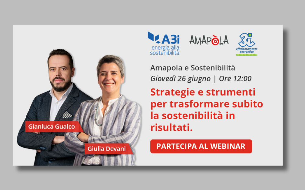 Webinar A3i su sostenibilità ed efficienza energetica