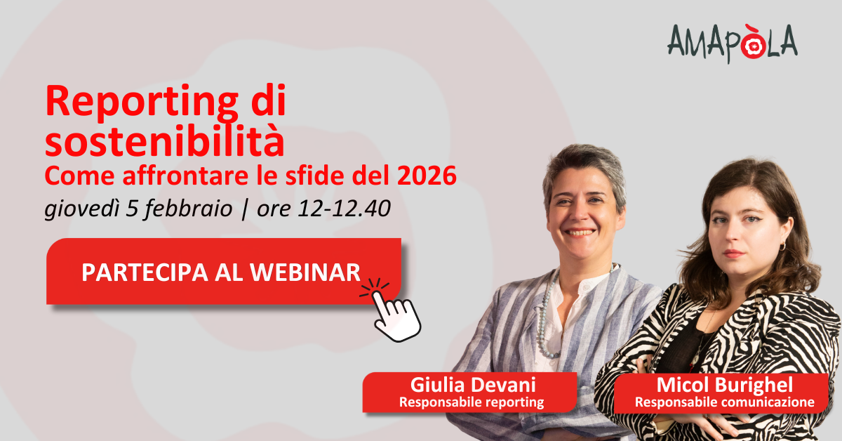 Webinar sul reporting 5 febbraio 2026
