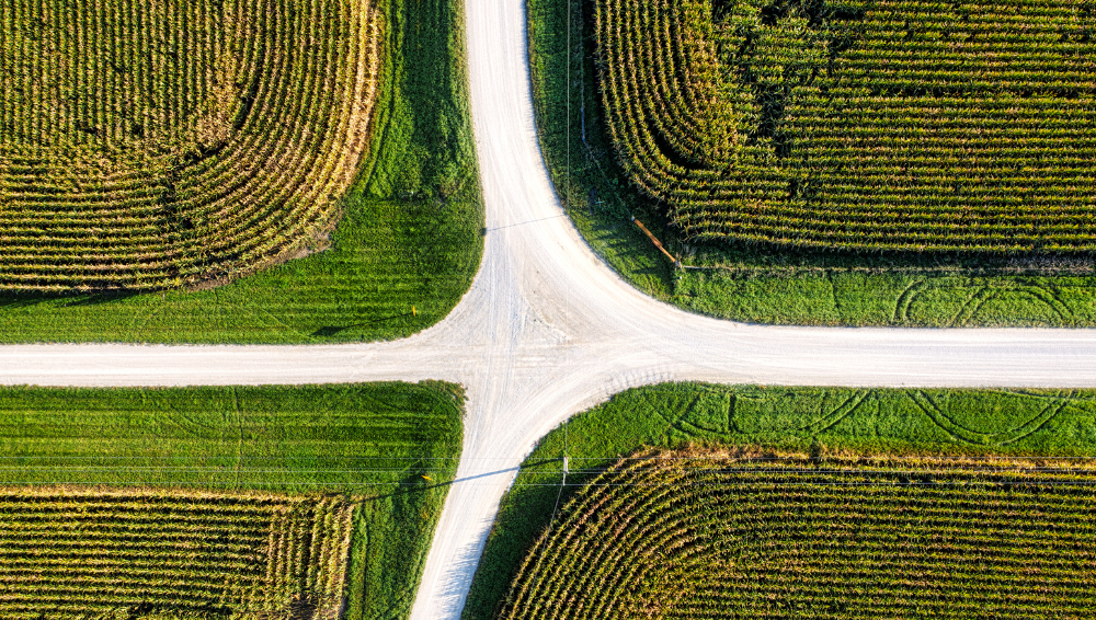 Comunicazione ESG al bivio: visualizzazione