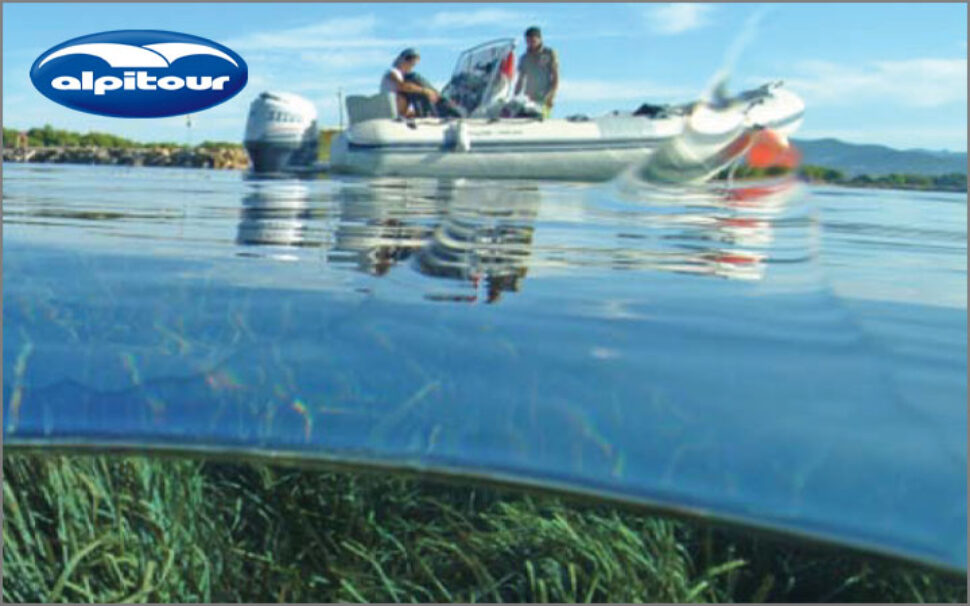 amapola progetto Alpitour Valorizzare i fondali marini 3 amapola progetto Alpitour Valorizzare i fondali marini 3