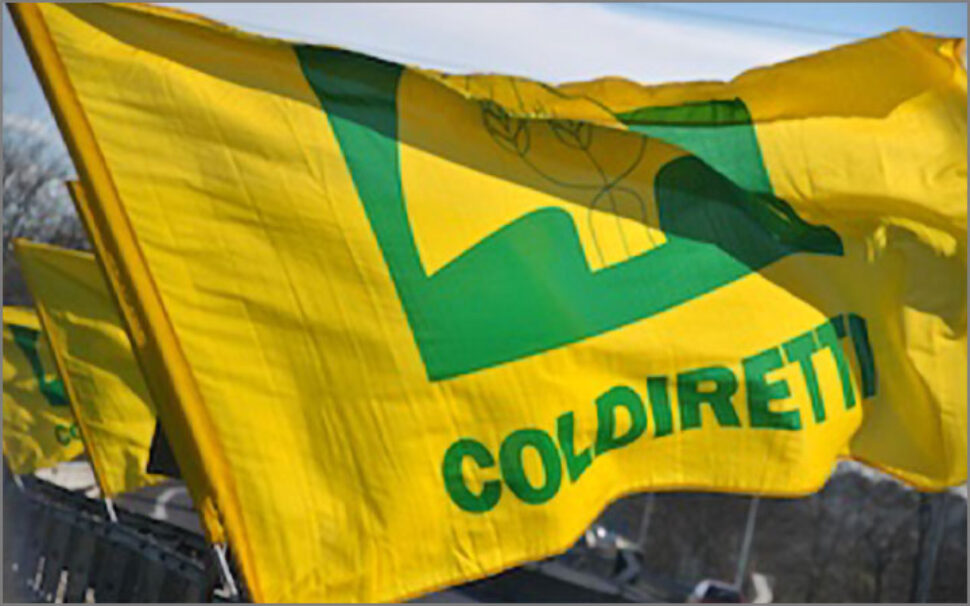 amapola progetto COLDIRETTI – Community engagement  2 amapola progetto COLDIRETTI - Community engagement  2