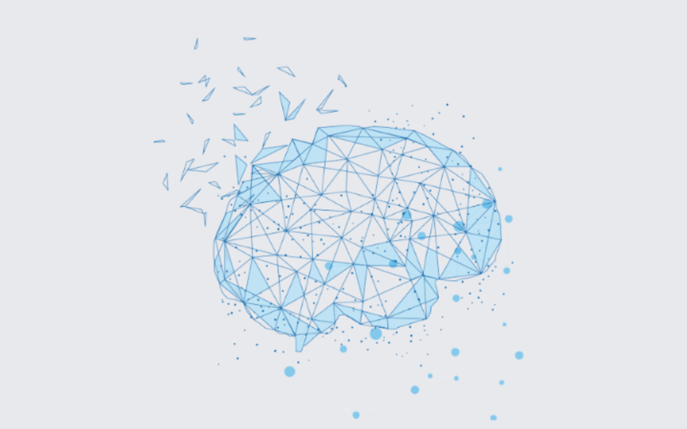 amapola progetto ECOCERVED – Formazione e laboratorio DEI 1 amapola progetto ECOCERVED - Formazione e laboratorio DEI 1