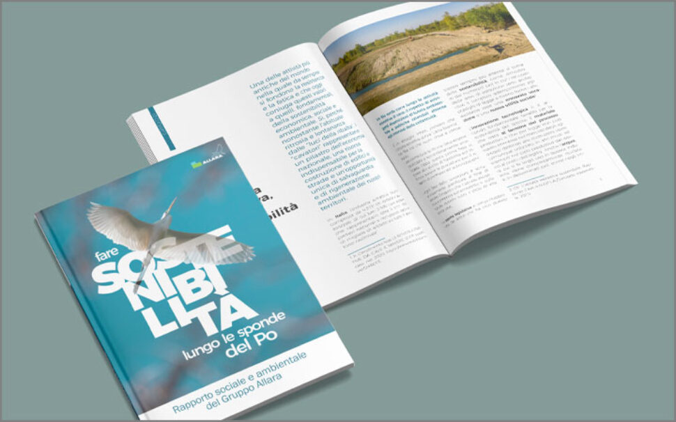 amapola progetto Gruppo Allara – Primo rapporto sociale e ambientale 1 amapola progetto Gruppo Allara - Primo rapporto sociale e ambientale 1