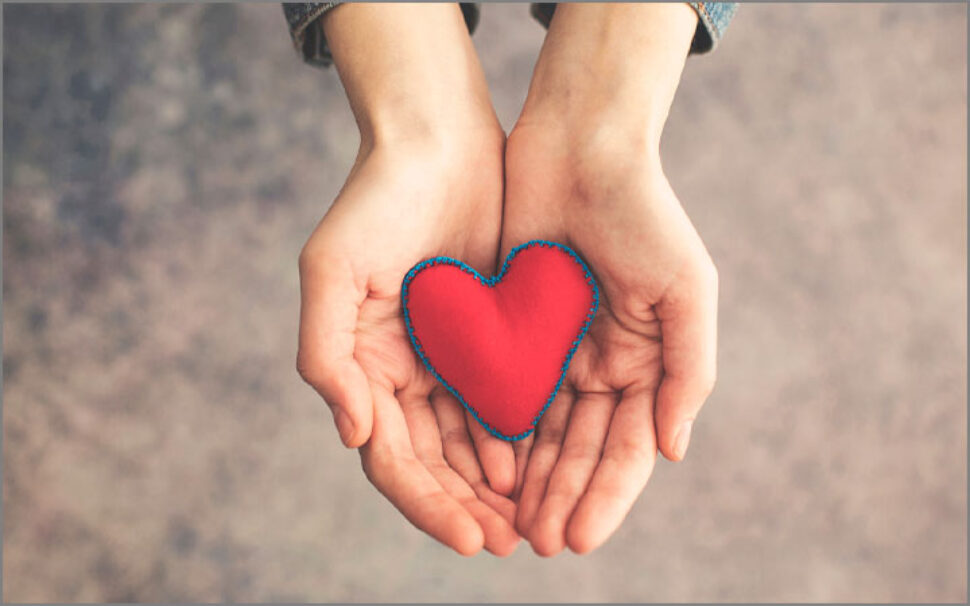 amapola progetto L’OREAL ITALIA – Citizen Day 1 amapola progetto L’OREAL ITALIA - Citizen Day 1