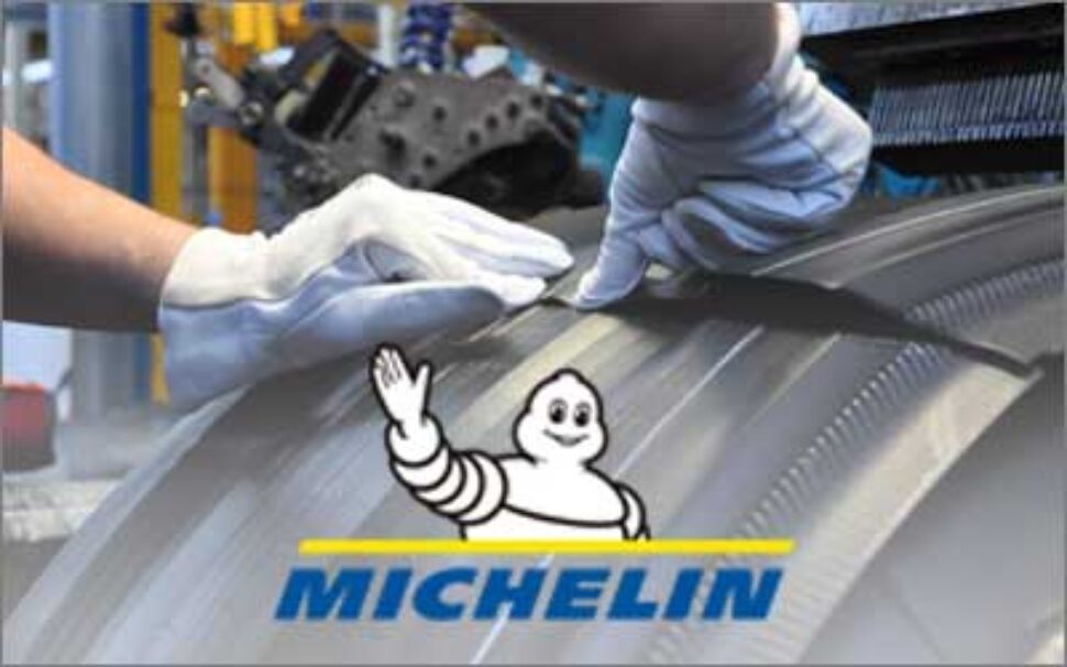 amapola progetto MICHELIN – La fabbrica sostenibile 1 amapola progetto MICHELIN - La fabbrica sostenibile 1