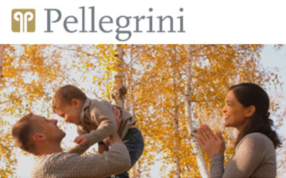 amapola progetto Pellegrini spa - Smart Report e Relazione Annuale 1