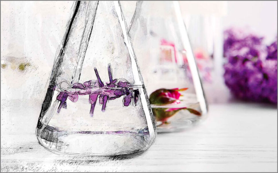 amapola progetto ROELMI HPC – Social Report 2020 1 amapola progetto ROELMI HPC - Social Report 2020 1