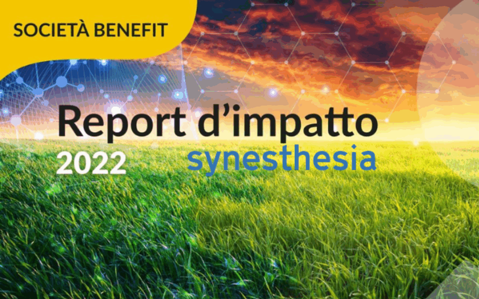 amapola progetto Synesthesia - Valorizzazione del percorso di Società Benefit 1