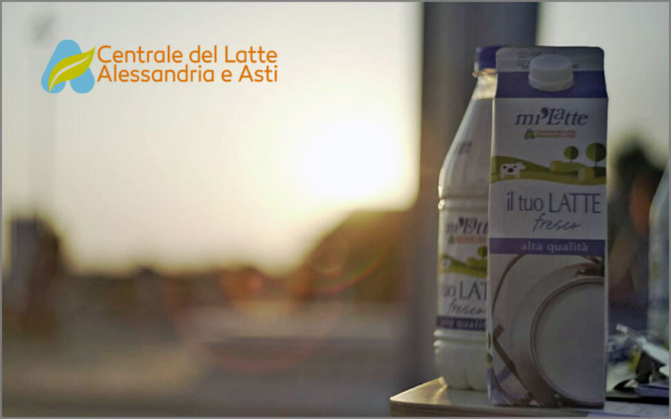 amapola progettoCentrale del Latte di Alessandria e Asti - Brand identity 1