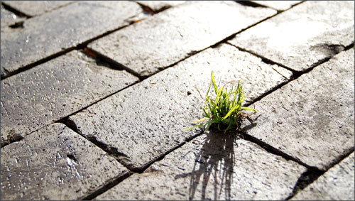 Pmi: quotate Aim ancora indietro sulla sostenibilità