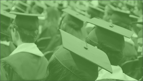 Università: nuovi corsi sulla sostenibilità